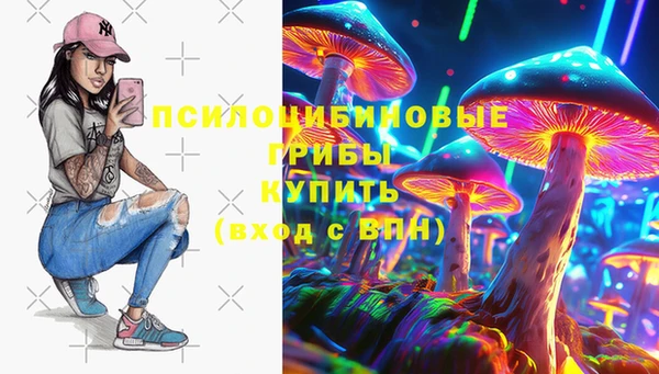 ECSTASY Алзамай