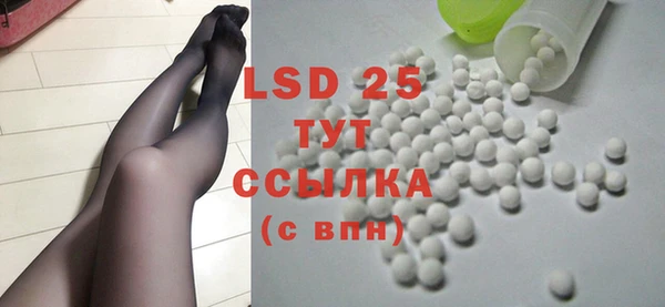 ECSTASY Алзамай