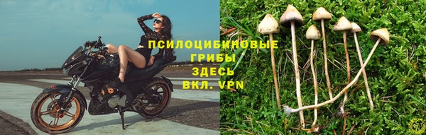 амф Алексин